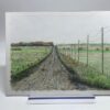 Cheyenne Bottoms - Image 3